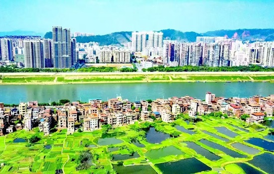 长洲岛生态蔬菜基地